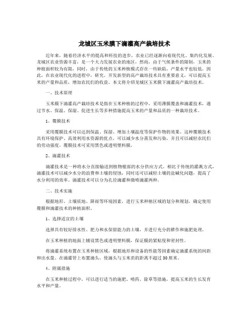 龙城区玉米膜下滴灌高产栽培技术