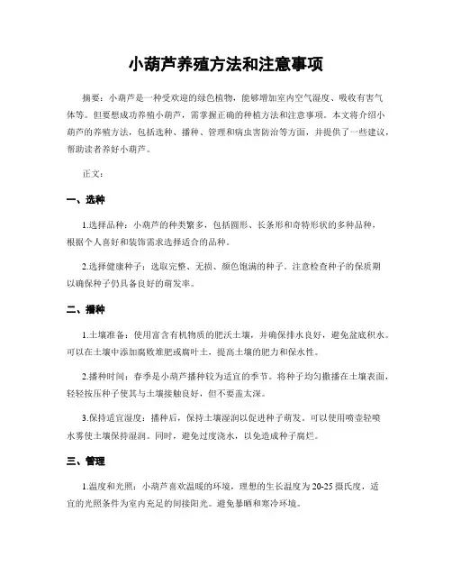 小葫芦养殖方法和注意事项