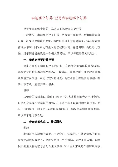 泰迪哪个好养-巴哥和泰迪哪个好养