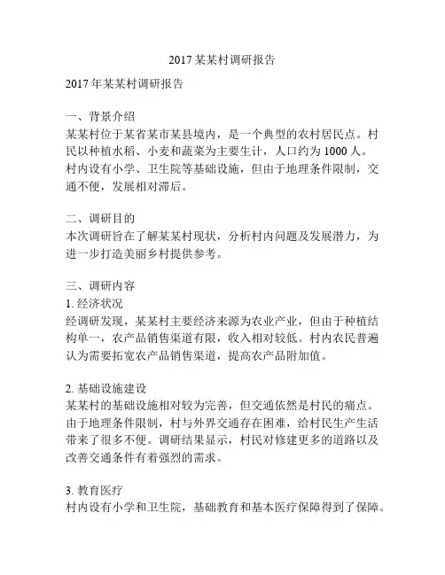 2017某某村调研报告
