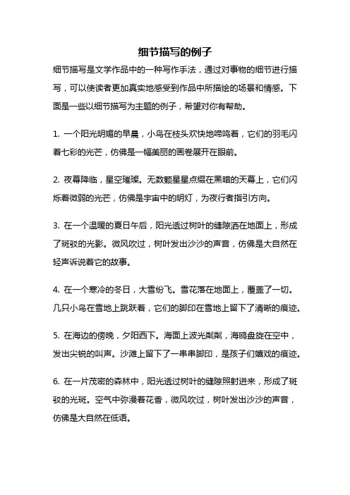 细节描写的例子