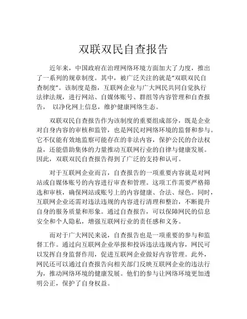 双联双民自查报告
