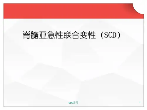 脊髓亚急性联合变性  ppt课件