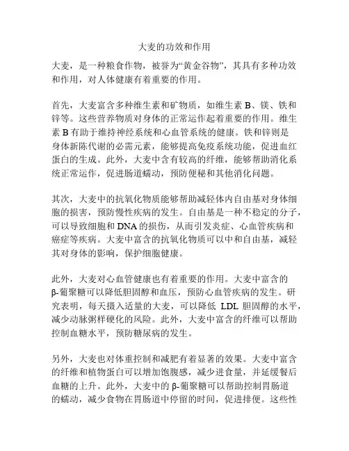 大麦的功效和作用