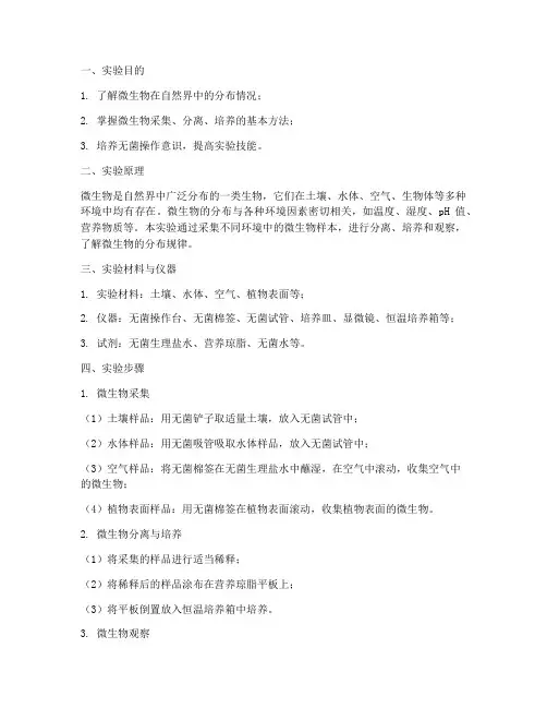 实验报告微生物的分布