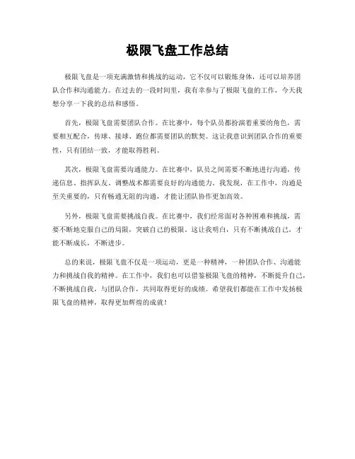 极限飞盘工作总结