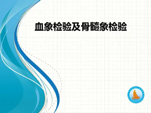 临床血液学检验：血象检验及骨髓象检验