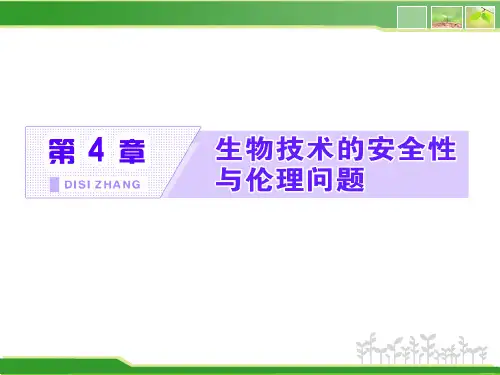 高中生物新人教版选择性必修3转基因产品的安全性课件(29张)