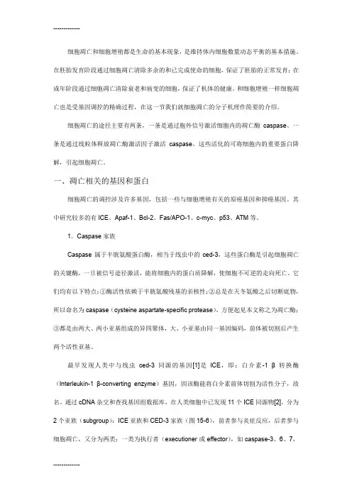 (整理)凋亡相关的基因和蛋白