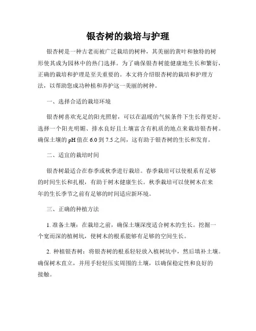 银杏树的栽培与护理
