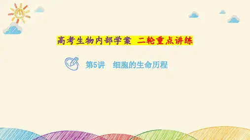 高考生物二轮重点讲练：第5讲 细胞的生命历程(共64张PPT)