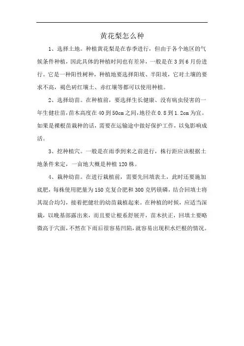 黄花梨怎么种