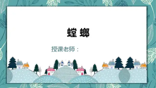螳螂三年级以上美术PPT课件