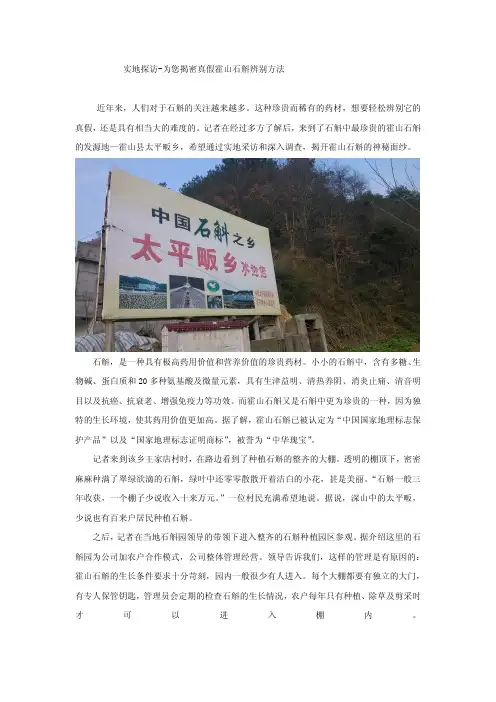 霍山石斛的功效及真假分辨方法