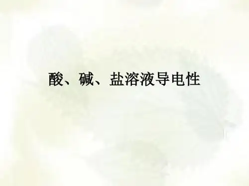 【化学课件】酸、碱、盐溶液的导电性课件