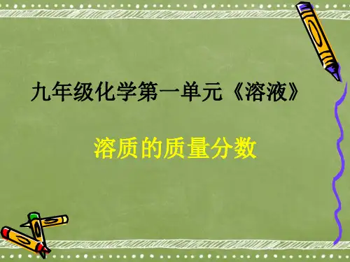初中化学《溶质的质量分数》专项PPT课件