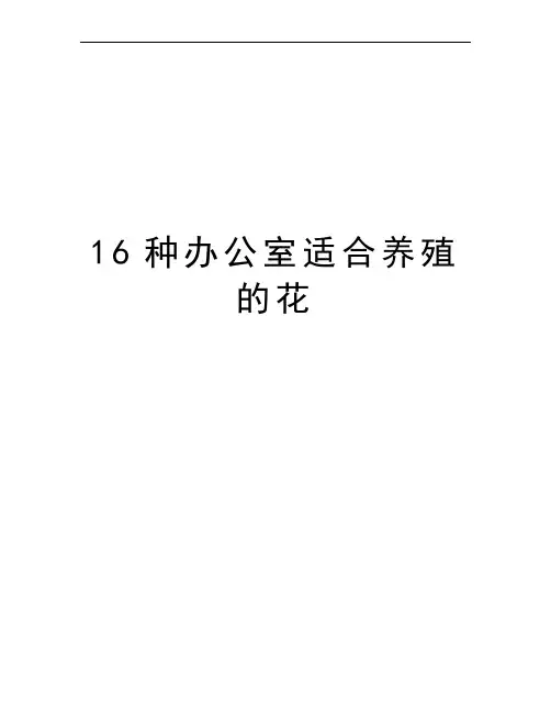 16种办公室适合养殖的花