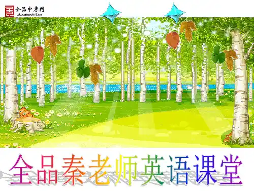 人教版英语九年级Unit11课件