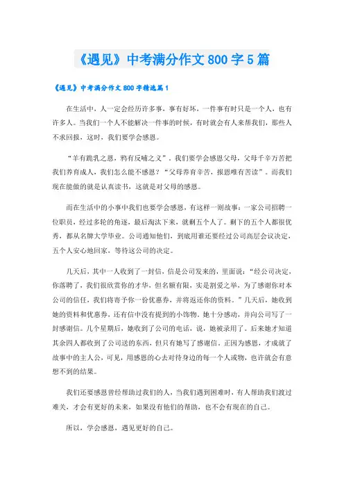 《遇见》中考满分作文800字5篇