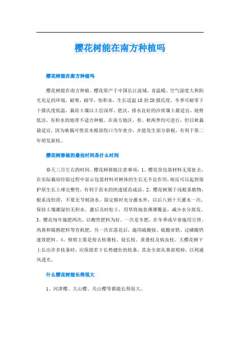 樱花树能在南方种植吗