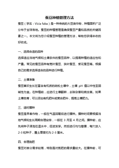 蚕豆种植管理方法