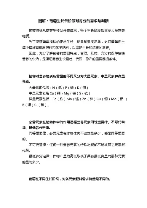 图解：葡萄生长各阶段对养分的需求与判断
