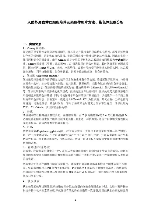 人的外周血淋巴细胞培养及染色体制片方法、染色体组型分析