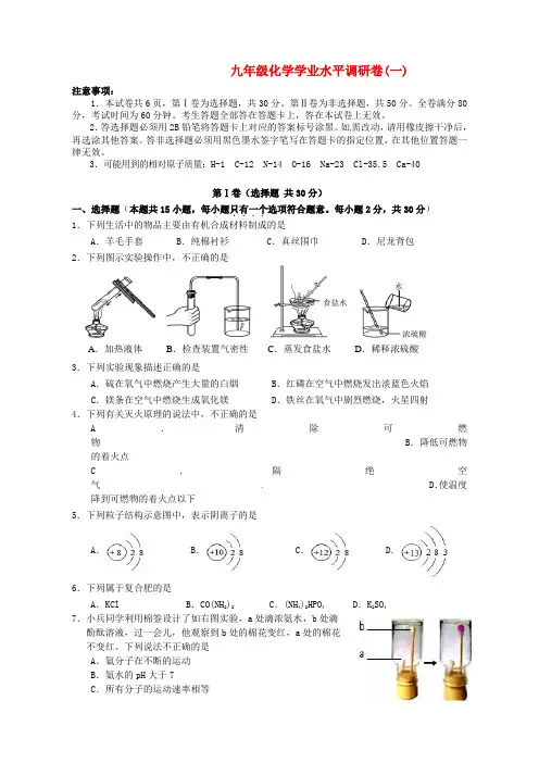 江苏省南京市江宁区2016届九年级化学第一次模拟试题