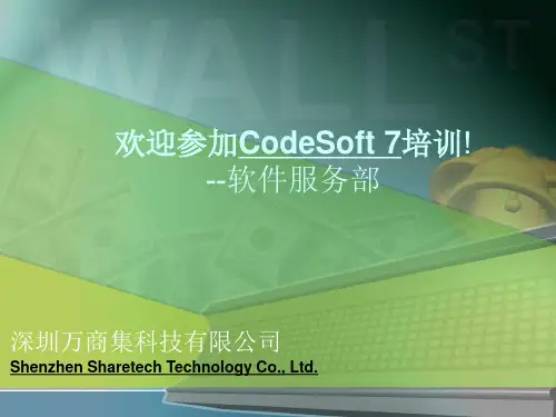 Codesoft 7培训资料_111