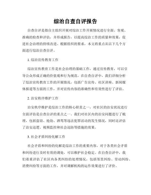 综治自查自评报告