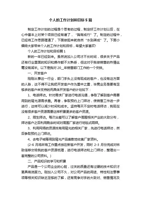 个人的工作计划和目标5篇