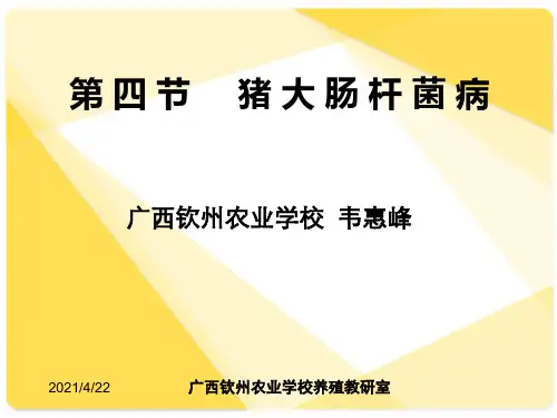 仔猪大肠杆菌病(授课)ppt课件