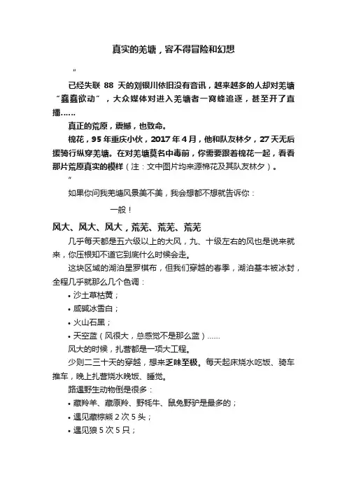 真实的羌塘，容不得冒险和幻想
