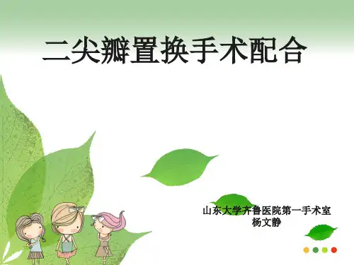 二尖瓣置换手术配合PPT课件
