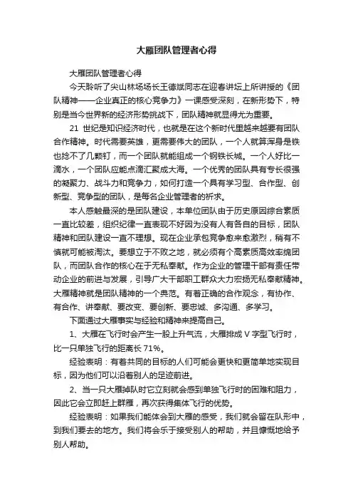 大雁团队管理者心得