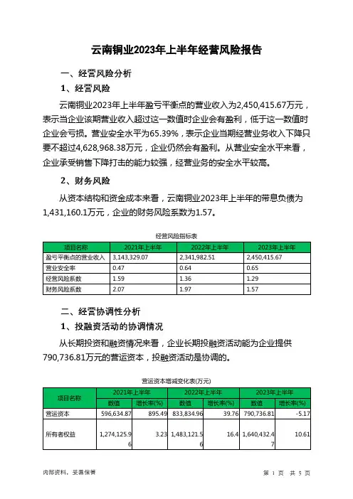 000878云南铜业2023年上半年经营风险报告