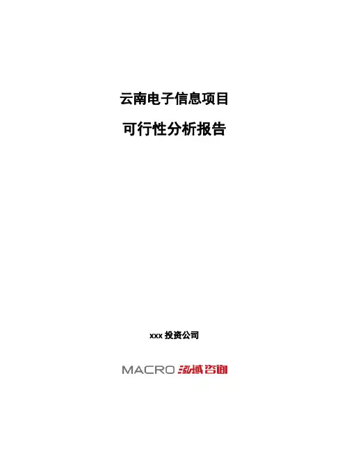 云南电子信息项目可行性分析报告
