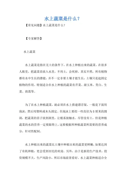 水上蔬菜是什么？