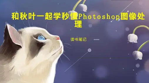和秋叶一起学秒懂Photoshop图像处理