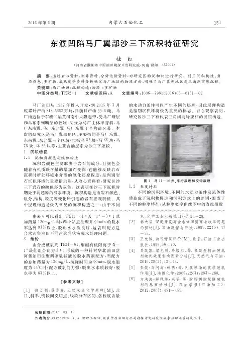 东濮凹陷马厂翼部沙三下沉积特征研究