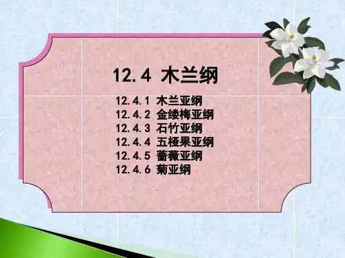 《植物学》教学课件：16 木兰纲