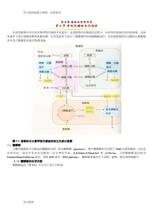 糖酵解 三羧酸循环最全总结