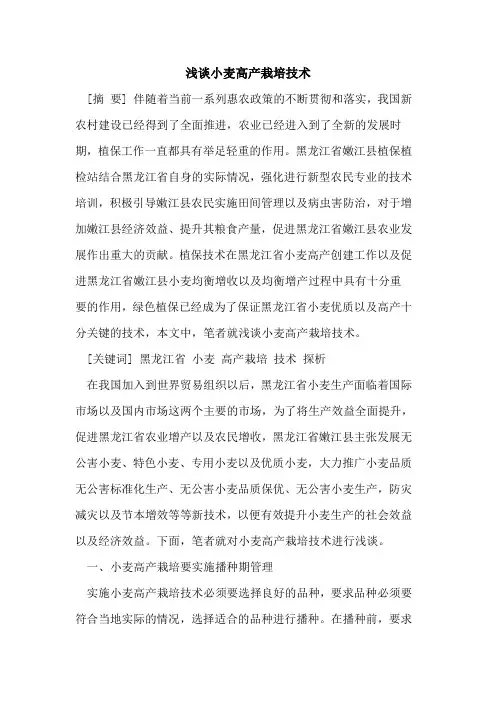 小麦高产栽培技术