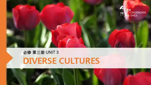 22版：Unit 3　Diverse Cultures(创新设计)