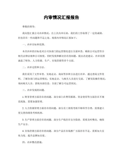 内审情况汇报报告
