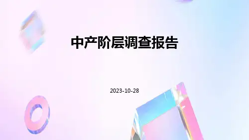 中产阶层调查报告