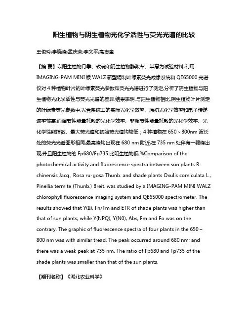 阳生植物与阴生植物光化学活性与荧光光谱的比较