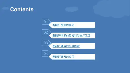 绿色高分子材料ppt课件