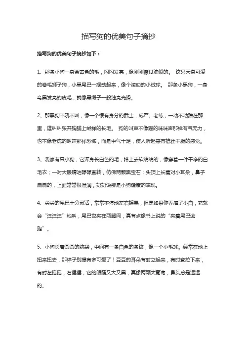 描写狗的优美句子摘抄