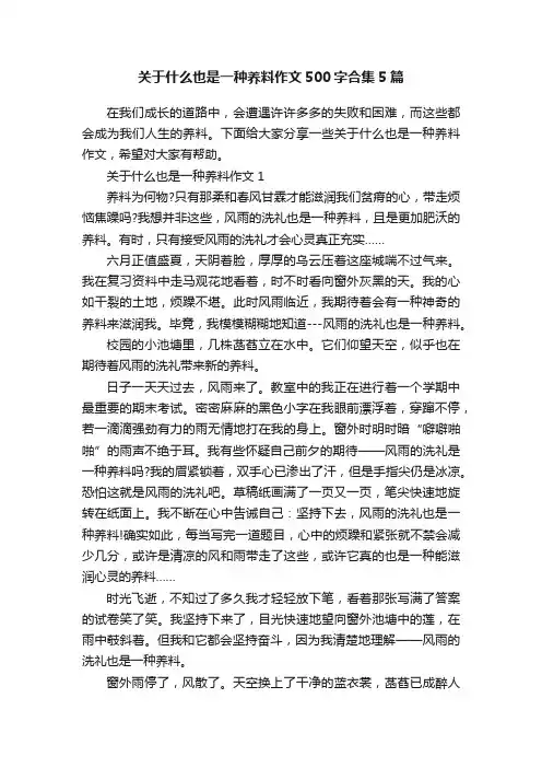 关于什么也是一种养料作文500字合集5篇